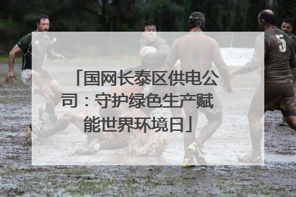 国网长泰区供电公司：守护绿色生产赋能世界环境日