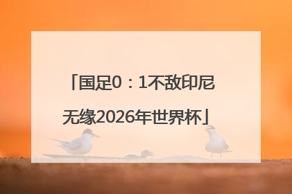 国足0：1不敌印尼 无缘2026年世界杯