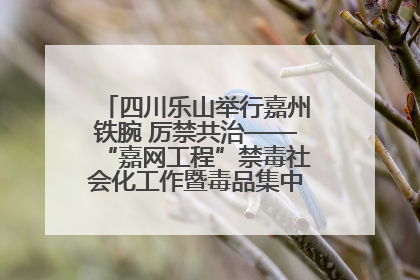 四川乐山举行嘉州铁腕 厉禁共治——“嘉网工程”禁毒社会化工作暨毒品集中销毁启动仪式