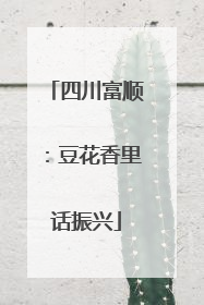 四川富顺：豆花香里话振兴