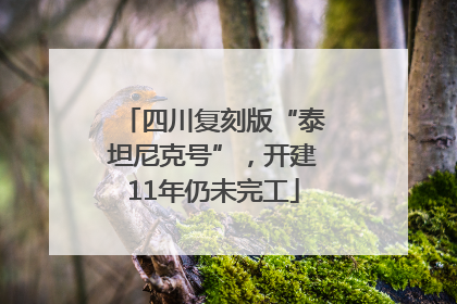 四川复刻版“泰坦尼克号”，开建11年仍未完工
