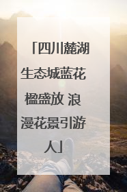 四川麓湖生态城蓝花楹盛放 浪漫花景引游人