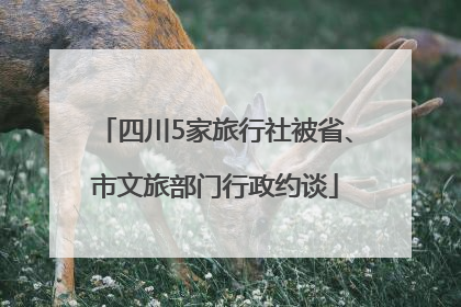 四川5家旅行社被省、市文旅部门行政约谈