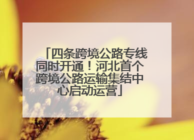 四条跨境公路专线同时开通！河北首个跨境公路运输集结中心启动运营