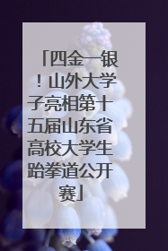 四金一银！山外大学子亮相第十五届山东省高校大学生跆拳道公开赛