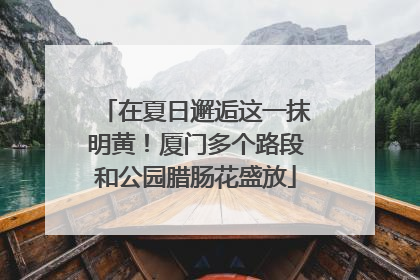 在夏日邂逅这一抹明黄！厦门多个路段和公园腊肠花盛放