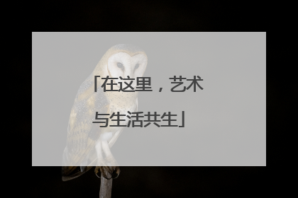 在这里，艺术与生活共生