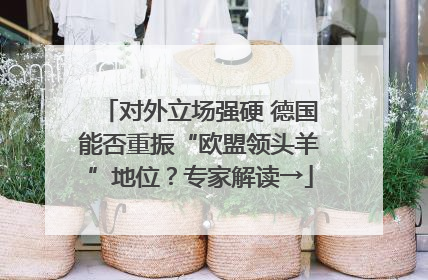 对外立场强硬 德国能否重振“欧盟领头羊”地位？专家解读→