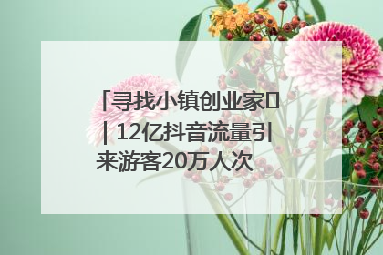 寻找小镇创业家㊱｜12亿抖音流量引来游客20万人次 “襄阳许三多”爆改家乡打造网红村