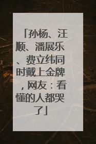 孙杨、汪顺、潘展乐、费立纬同时戴上金牌，网友：看懂的人都哭了