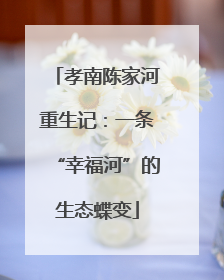 孝南陈家河重生记：一条“幸福河”的生态蝶变