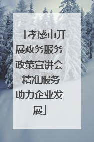 孝感市开展政务服务政策宣讲会 精准服务助力企业发展
