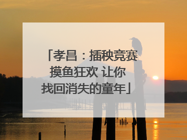 孝昌：插秧竞赛 摸鱼狂欢 让你找回消失的童年