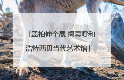孟柏伸个展 揭幕呼和浩特西贝当代艺术馆