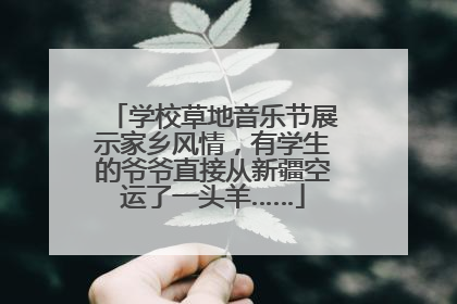 学校草地音乐节展示家乡风情，有学生的爷爷直接从新疆空运了一头羊……
