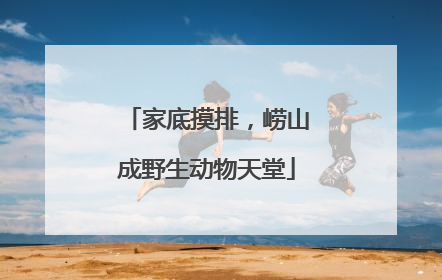 家底摸排，崂山成野生动物天堂