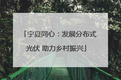 宁夏同心：发展分布式光伏 助力乡村振兴