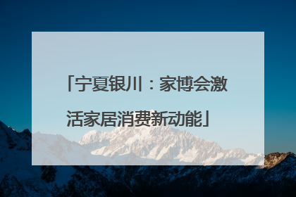 宁夏银川：家博会激活家居消费新动能