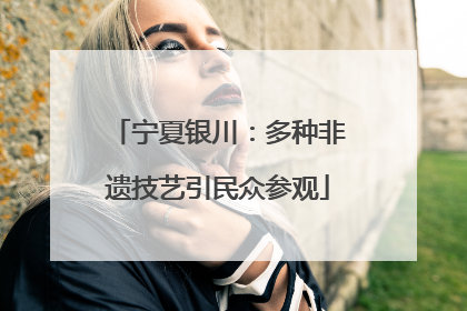 宁夏银川：多种非遗技艺引民众参观