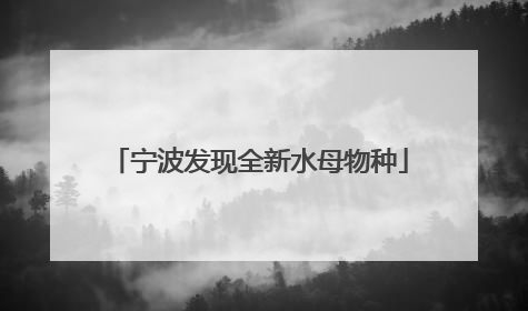 宁波发现全新水母物种