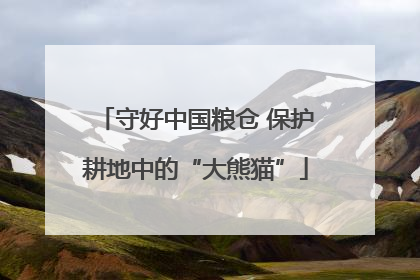 守好中国粮仓 保护耕地中的“大熊猫”