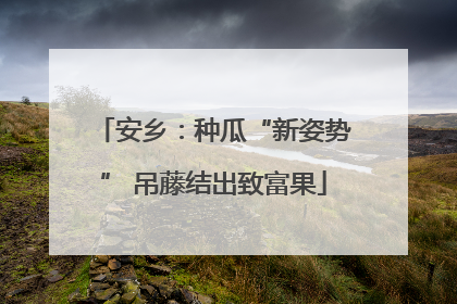 安乡：种瓜“新姿势” 吊藤结出致富果