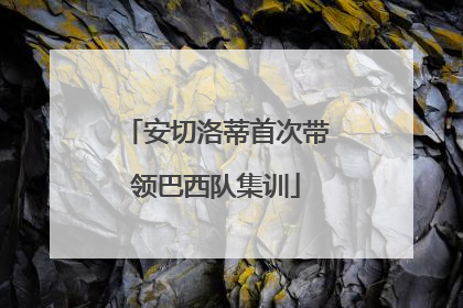 安切洛蒂首次带领巴西队集训