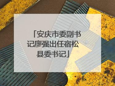 安庆市委副书记廖强出任宿松县委书记