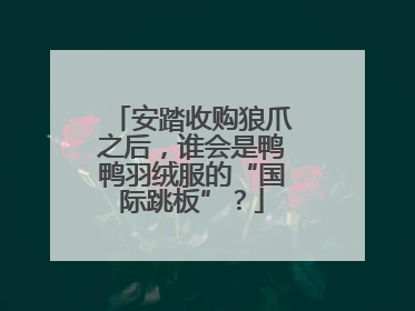 安踏收购狼爪之后，谁会是鸭鸭羽绒服的“国际跳板”？