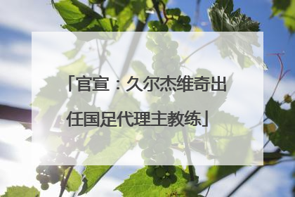 官宣：久尔杰维奇出任国足代理主教练