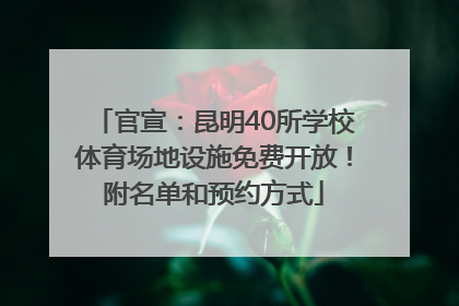 官宣：昆明40所学校体育场地设施免费开放！附名单和预约方式