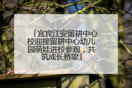 宜宾江安留耕中心校迎接留耕中心幼儿园萌娃进校参观，共筑成长桥梁