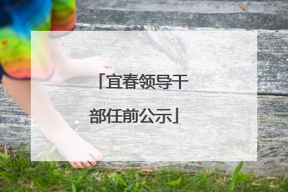 宜春领导干部任前公示
