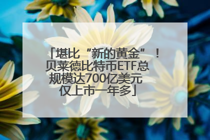 堪比“新的黄金”！贝莱德比特币ETF总规模达700亿美元 仅上市一年多