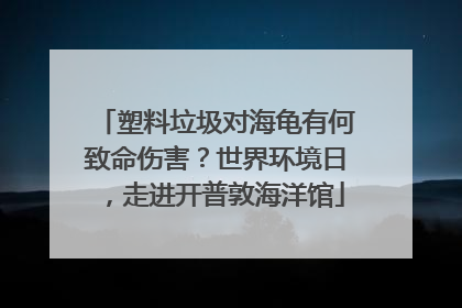 塑料垃圾对海龟有何致命伤害？世界环境日，走进开普敦海洋馆