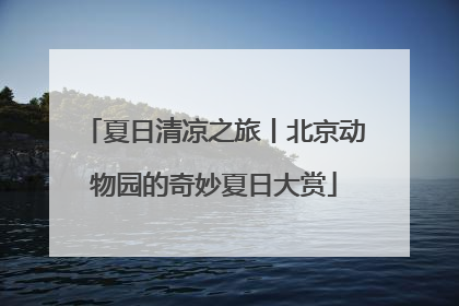 夏日清凉之旅丨北京动物园的奇妙夏日大赏