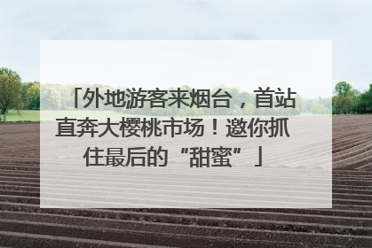 外地游客来烟台，首站直奔大樱桃市场！邀你抓住最后的“甜蜜”