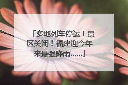 多地列车停运！景区关闭！福建迎今年来最强降雨……
