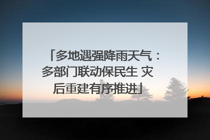 多地遇强降雨天气：多部门联动保民生 灾后重建有序推进