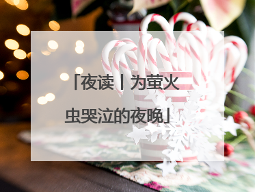 夜读丨为萤火虫哭泣的夜晚
