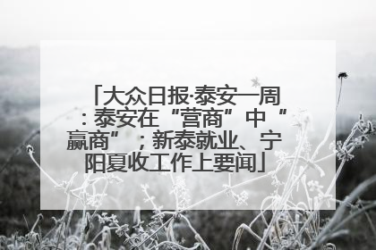 大众日报·泰安一周：泰安在“营商”中“赢商”；新泰就业、宁阳夏收工作上要闻