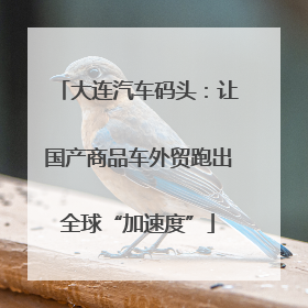 大连汽车码头：让国产商品车外贸跑出全球“加速度”