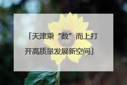 天津乘“数”而上打开高质量发展新空间