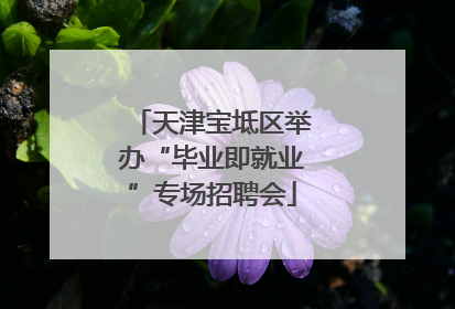 天津宝坻区举办“毕业即就业”专场招聘会