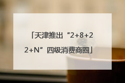 天津推出“2+8+22+N”四级消费商圈