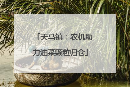 天马镇：农机助力油菜颗粒归仓