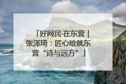 好网民·在东营｜张泽琦：匠心绘就东营“诗与远方”