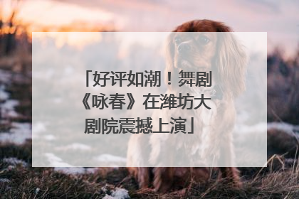 好评如潮！舞剧《咏春》在潍坊大剧院震撼上演