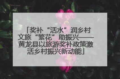奖补“活水”润乡村 文旅“繁花”助振兴——黄龙县以旅游奖补政策激活乡村振兴新动能