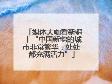 媒体大咖看新疆丨“中国新疆的城市非常繁华，处处都充满活力”
